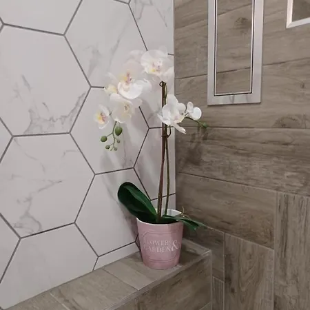 Tara Deluxe Варна